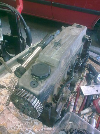 Obraz0187
