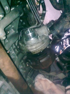 Obraz0252