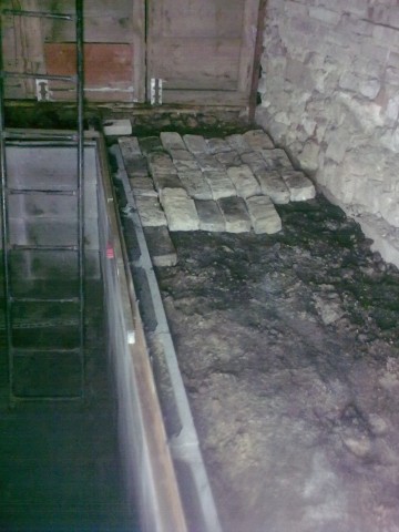 Obraz0341
